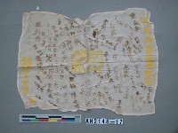 藏品(「反共抗俄」簽名血旗)的圖片